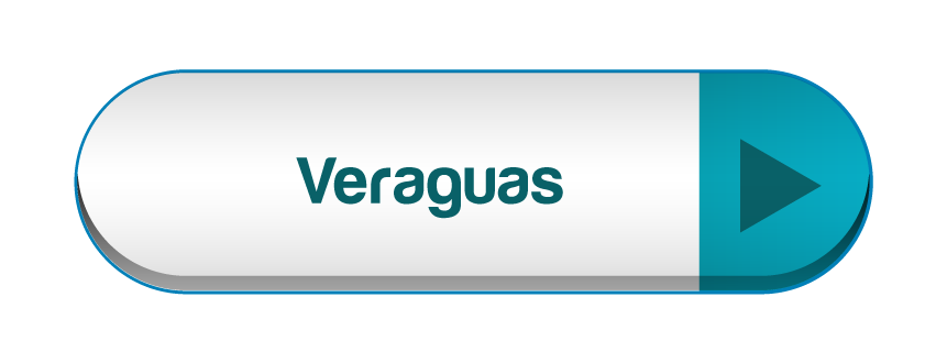 Imagen 17