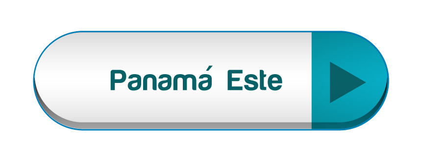 Imagen 13