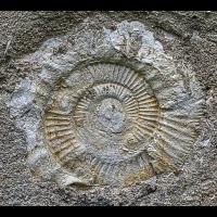piedra primitiva