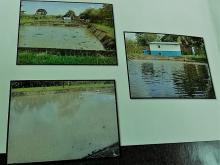 imágenes de aguas en Darién