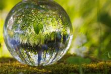 naturaleza