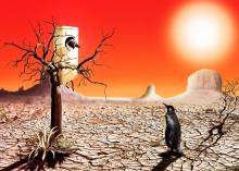 desertificación