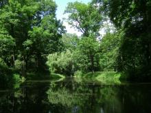 naturaleza