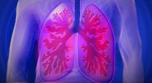 sistema respiratorio