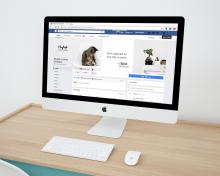 web diseño