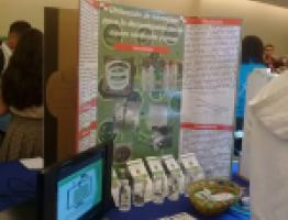 proyecto microalgas
