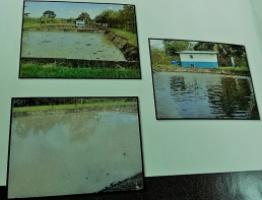 imágenes de aguas en Darién