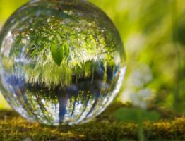naturaleza