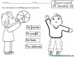 esquema-corporal