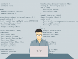 programador