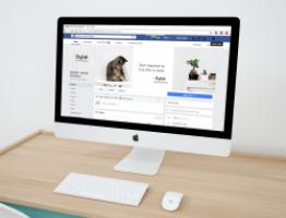 web diseño